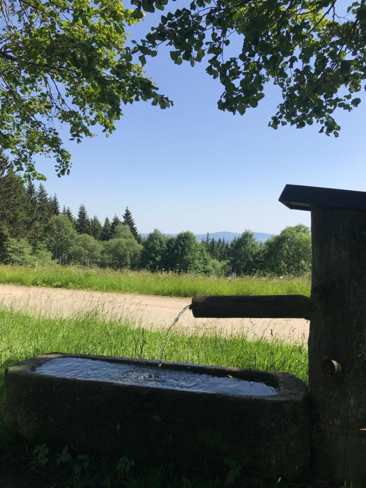 Zur Neuen Post Landgasthof Herzogsreut